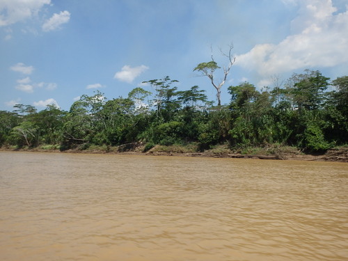 Corto Maltes, Amazonia.